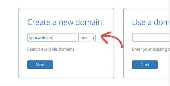 choose a domain name