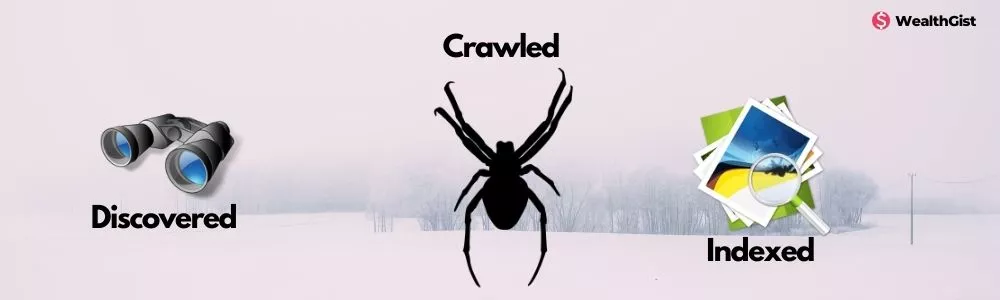 discovered crawled indexed