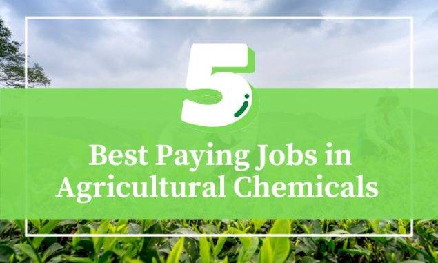 Best Paying Jobs in Agricultural Chemicals