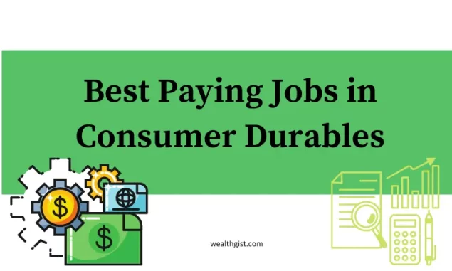 Best Paying Jobs in Consumer Durables