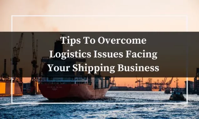 Tips To Overcome Logistics Issues Facing Your Shipping Business