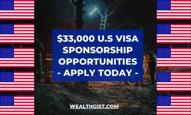 U.S Visa Sponsorship Opportunities